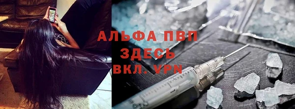 индика Лабытнанги