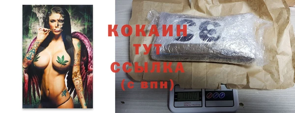 индика Лабытнанги