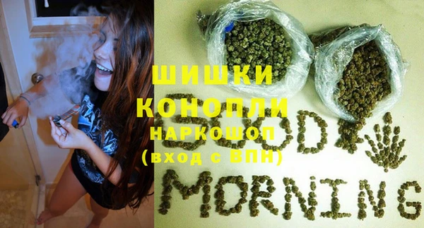 индика Лабытнанги
