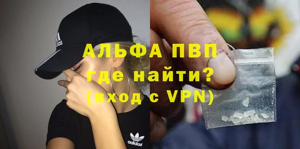 индика Лабытнанги