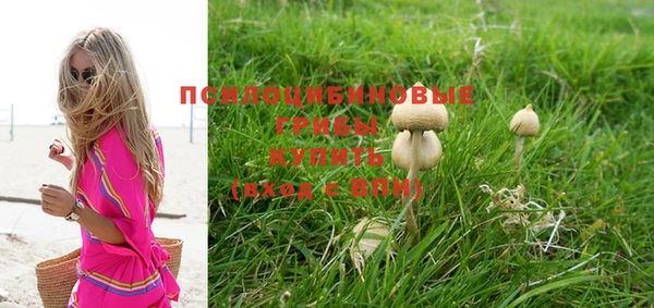 индика Лабытнанги