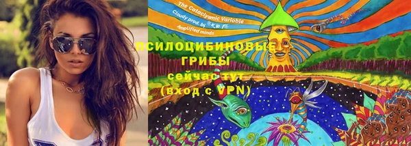 дурь Ладушкин