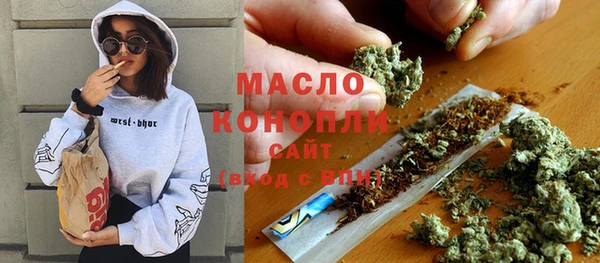 индика Лабытнанги