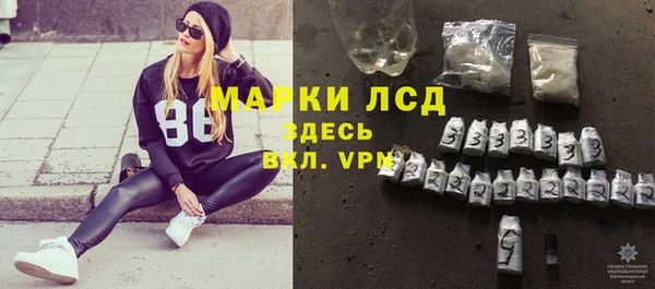 индика Лабытнанги