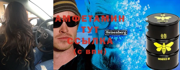 индика Лабытнанги