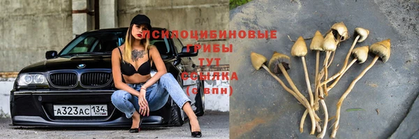 индика Лабытнанги