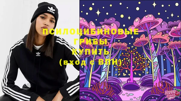 индика Лабытнанги
