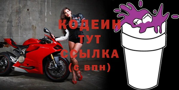 индика Лабытнанги