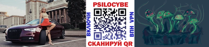 kraken ССЫЛКА  Шарья  Псилоцибиновые грибы мицелий 